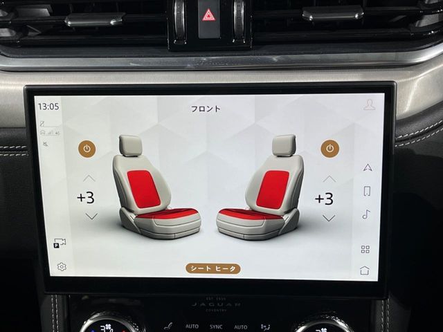 JAGUAR F-PACE 2024 Image 31