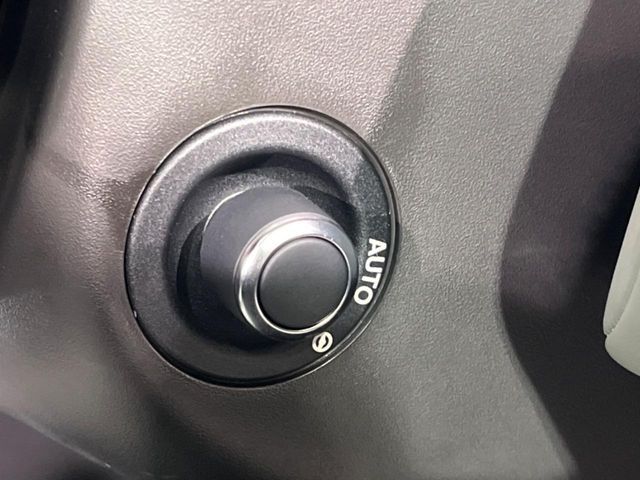 ROVER DISCOVERY 2019 Image 31