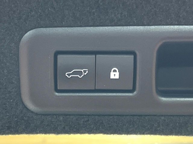 TOYOTA LEXUS RX450H 2WD 2020 Image 31