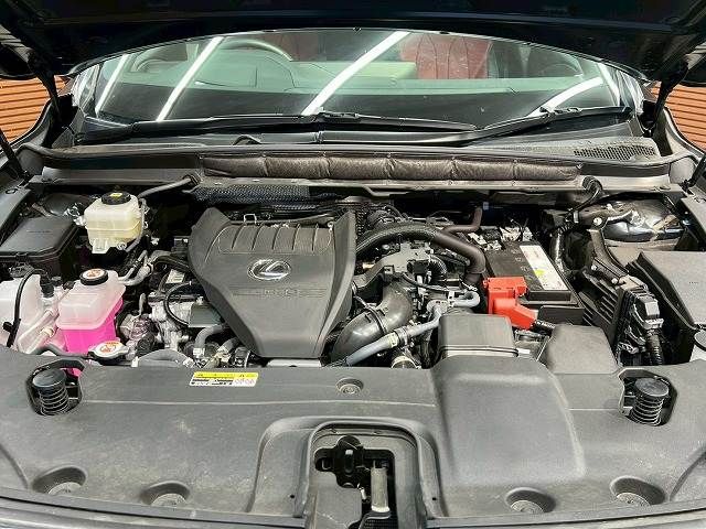 TOYOTA LEXUS RX350 AWD 2023 Image 31