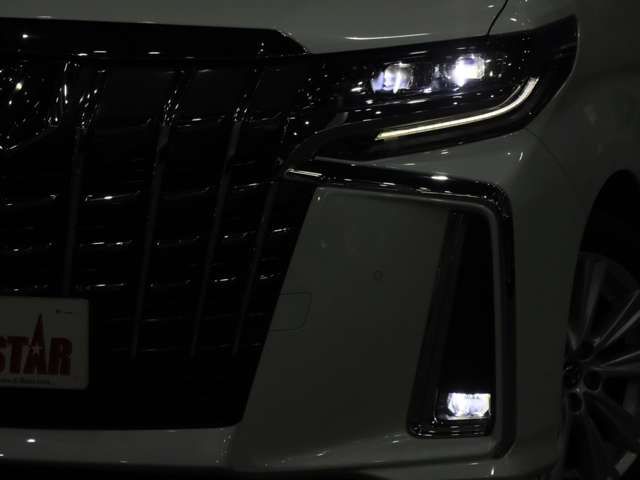 TOYOTA ALPHARD 2019 Image 31