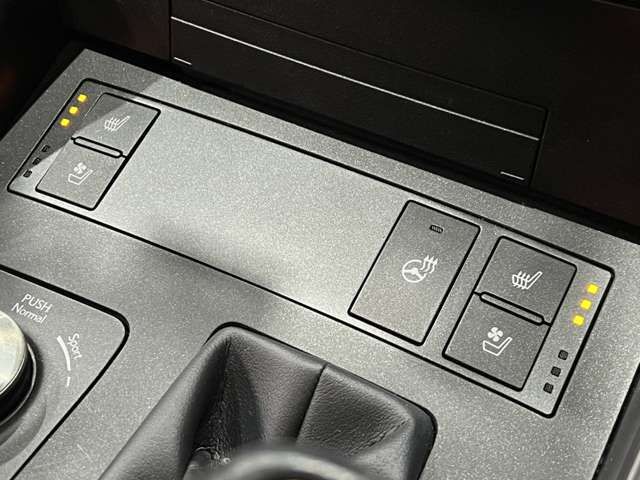 TOYOTA LEXUS IS300H 2021 Image 31