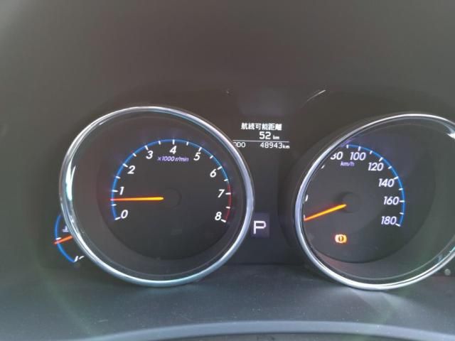 TOYOTA MARK X 2010 Image 31