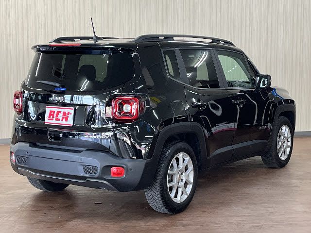 JEEP RENEGADE 2024 Image 31