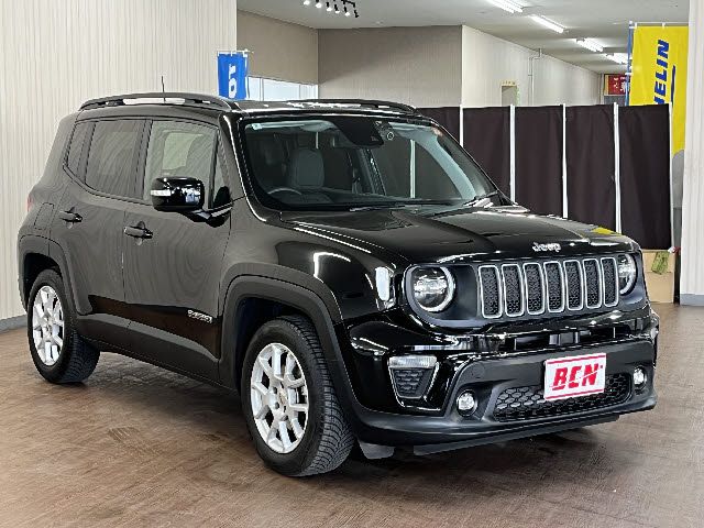 JEEP RENEGADE 2024 Image 31
