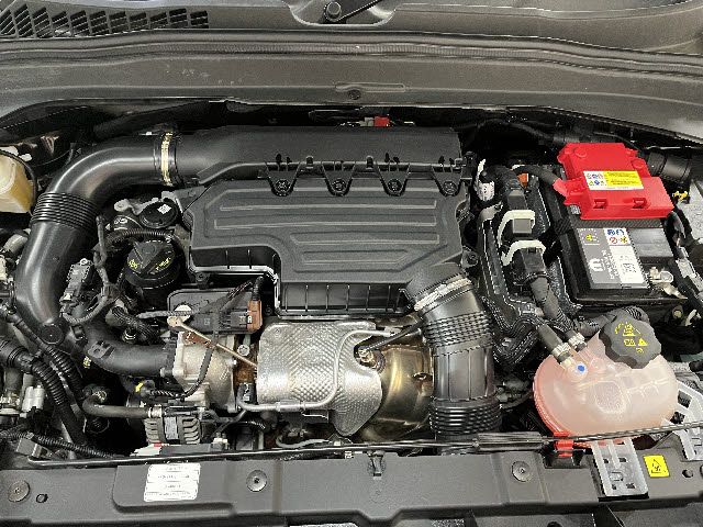 JEEP RENEGADE 2024 Image 31