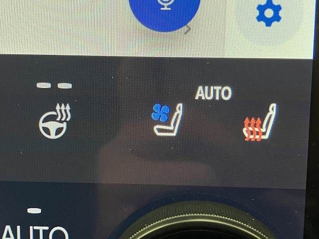 TOYOTA ALPHARD 2023 Image 31