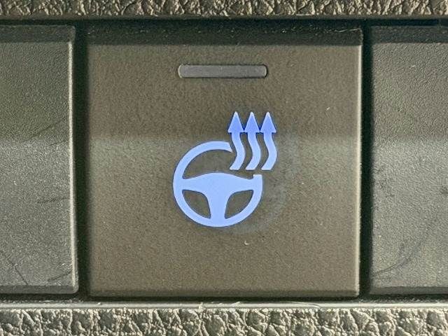 TOYOTA RAV4 HYBRID 4WD 2019 Image 31