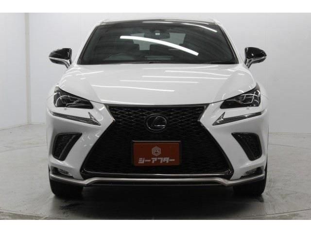 TOYOTA LEXUS NX300H 2019 Image 31