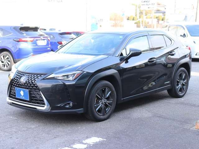 TOYOTA LEXUS UX250H 2019 Image 31