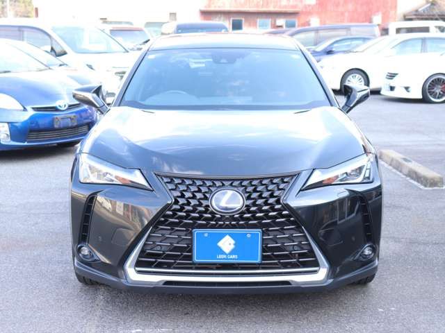 TOYOTA LEXUS UX250H 2019 Image 31