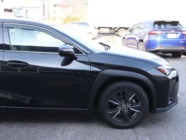 TOYOTA LEXUS UX250H 2019 Image 31