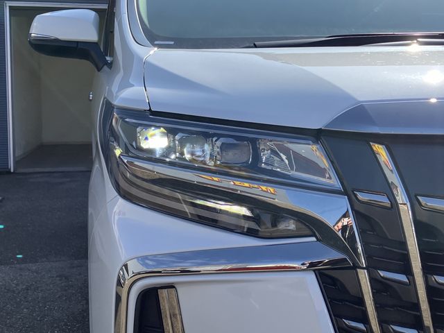 TOYOTA ALPHARD 2020 Image 31