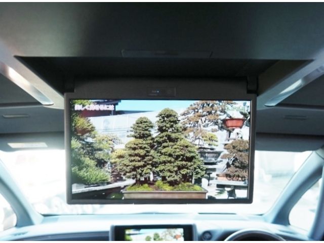 TOYOTA ALPHARD HYBRID 4WD 2024 Image 31