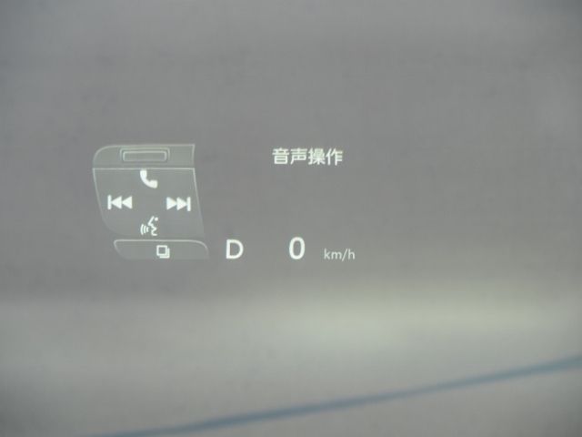 TOYOTA ALPHARD HYBRID 4WD 2024 Image 31