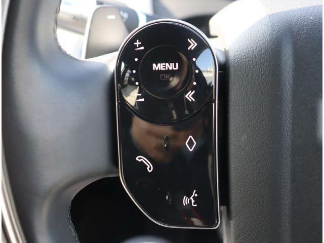 ROVER DISCOVERY SPOR 2020 Image 31