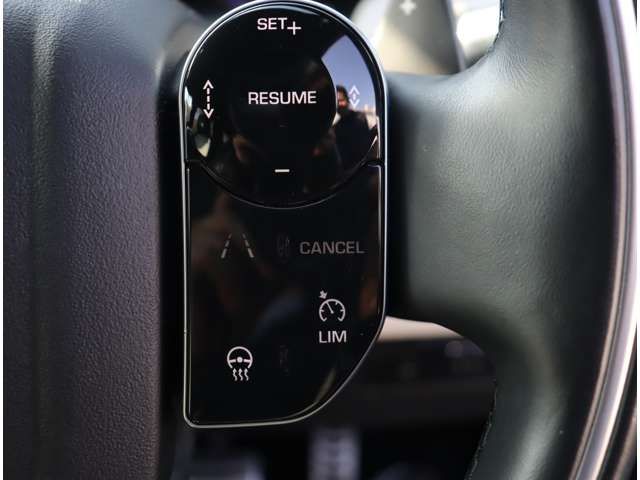 ROVER DISCOVERY SPOR 2020 Image 31