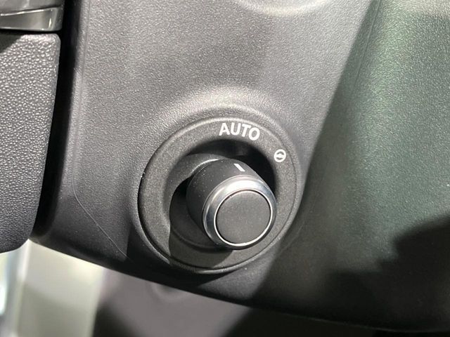 ROVER DISCOVERY 2025 Image 31