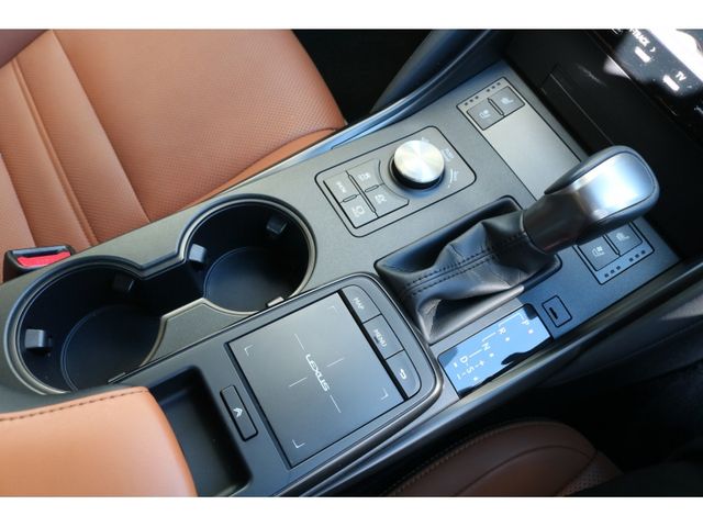 TOYOTA LEXUS IS300H 2022 Image 31