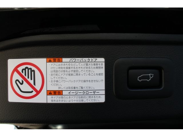 TOYOTA ALPHARD 2023 Image 31