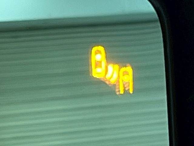 TOYOTA LANDCRUISER 250 2024 Image 31