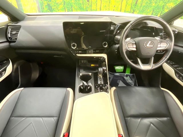 TOYOTA LEXUS NX250 2022 Image 31