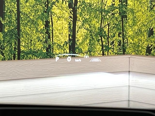 TOYOTA LEXUS NX250 2022 Image 31