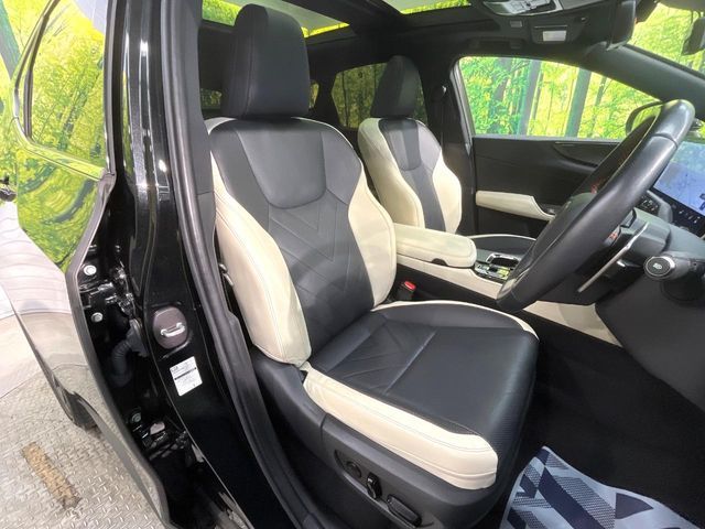 TOYOTA LEXUS NX250 2022 Image 31