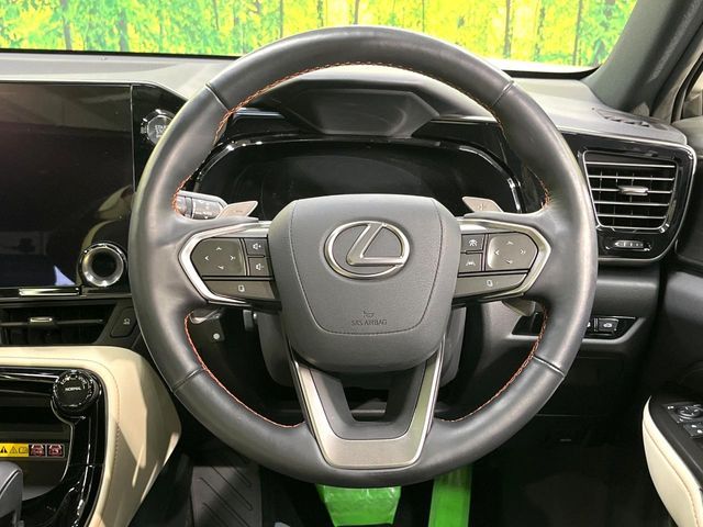 TOYOTA LEXUS NX250 2022 Image 31