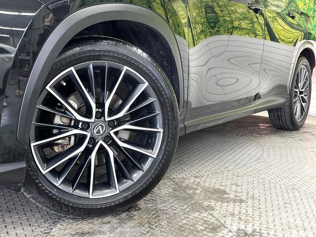 TOYOTA LEXUS NX250 2022 Image 31