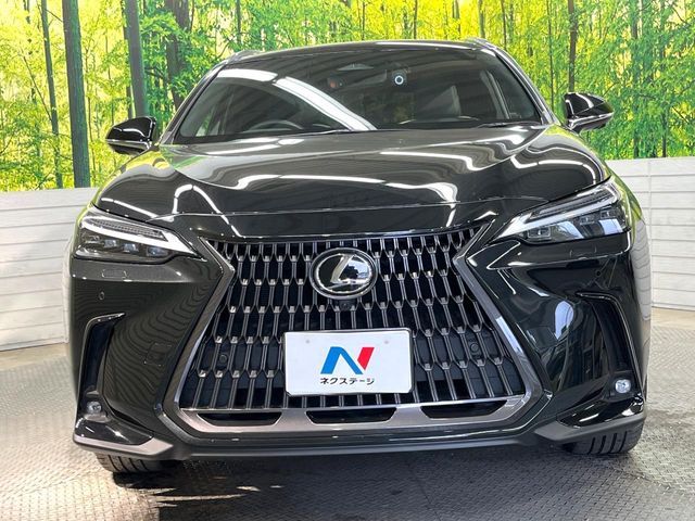TOYOTA LEXUS NX250 2022 Image 31