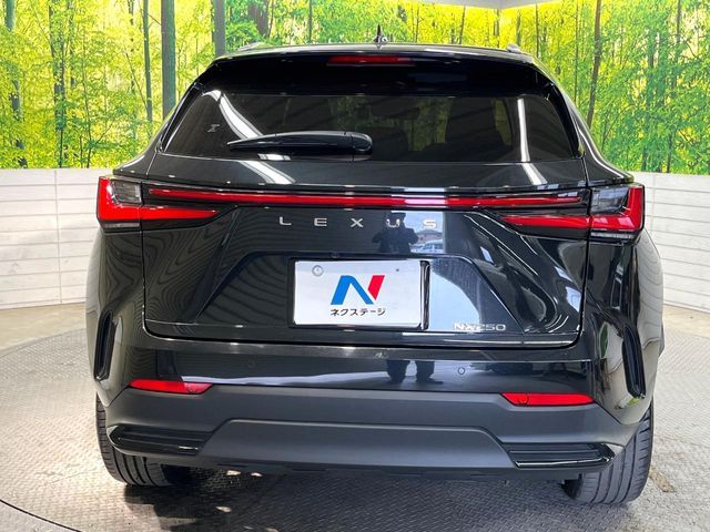 TOYOTA LEXUS NX250 2022 Image 31