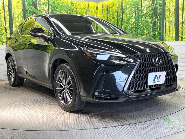 TOYOTA LEXUS NX250 2022 Image 31