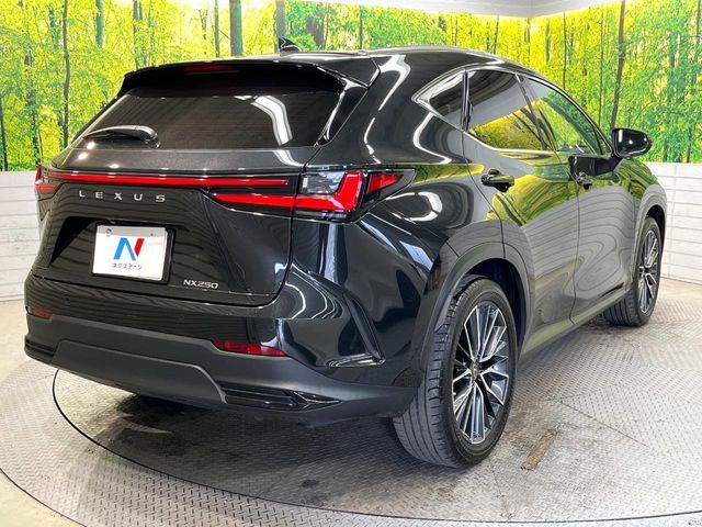 TOYOTA LEXUS NX250 2022 Image 31
