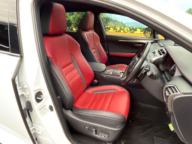 TOYOTA LEXUS NX300 2020 Image 31