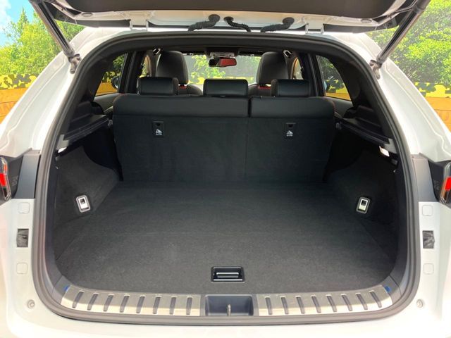 TOYOTA LEXUS NX300 2020 Image 31