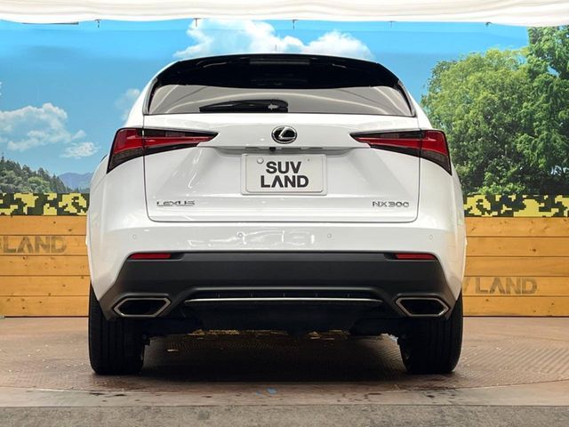 TOYOTA LEXUS NX300 2020 Image 31