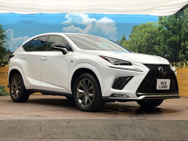 TOYOTA LEXUS NX300 2020 Image 31