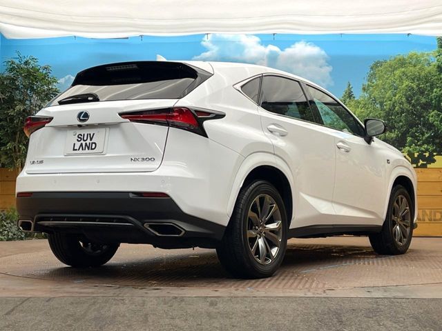 TOYOTA LEXUS NX300 2020 Image 31
