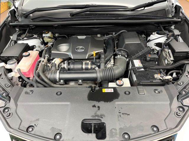 TOYOTA LEXUS NX300 2020 Image 31