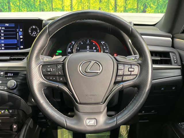 TOYOTA LEXUS ES300H 2021 Image 31