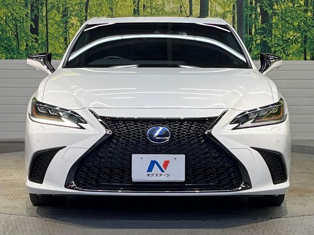 TOYOTA LEXUS ES300H 2021 Image 31