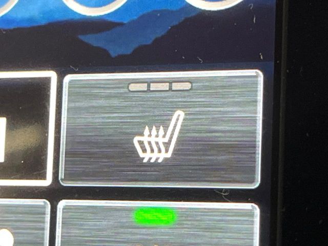 SUBARU FORESTER 2025 Image 31