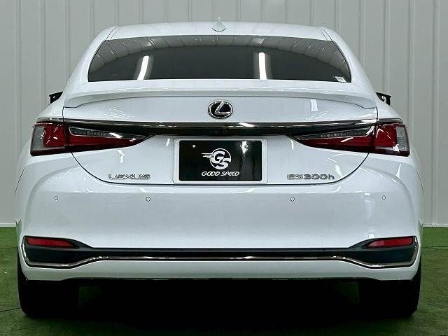 TOYOTA LEXUS ES300H 2019 Image 31