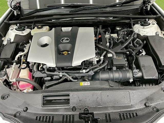 TOYOTA LEXUS ES300H 2019 Image 31