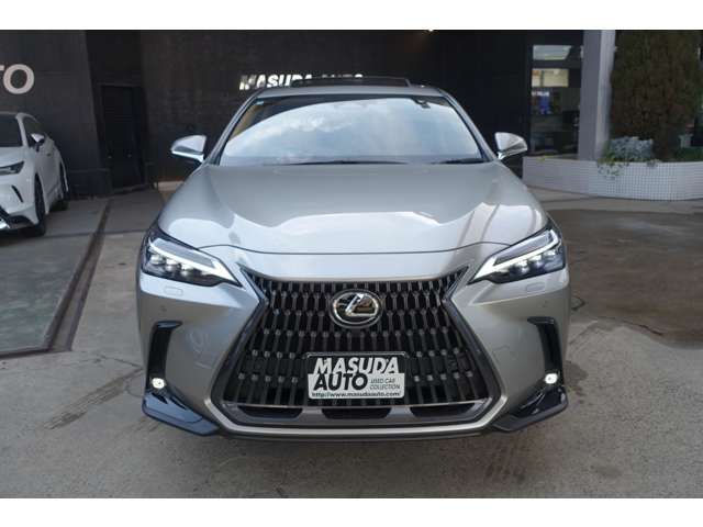 TOYOTA LEXUS NX350H AWD 2021 Image 31