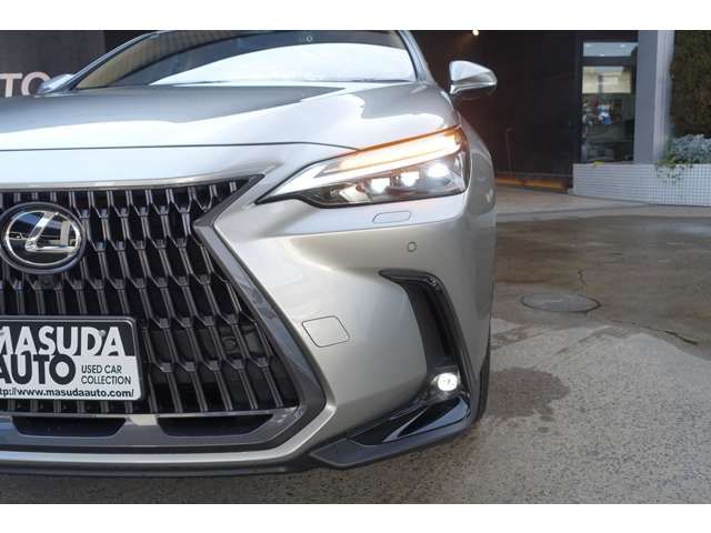 TOYOTA LEXUS NX350H AWD 2021 Image 31