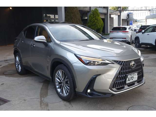 TOYOTA LEXUS NX350H AWD 2021 Image 31