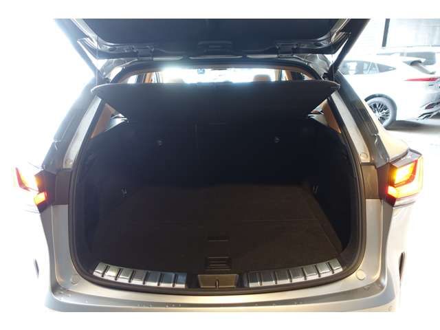 TOYOTA LEXUS NX350H AWD 2021 Image 31