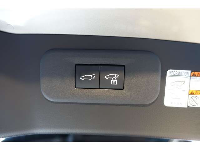 TOYOTA LEXUS NX350H AWD 2021 Image 31